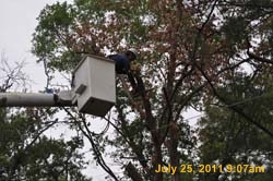Entergy 036
